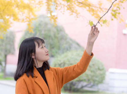 墨尔本飞菲律宾游玩多少钱(机票的价格)